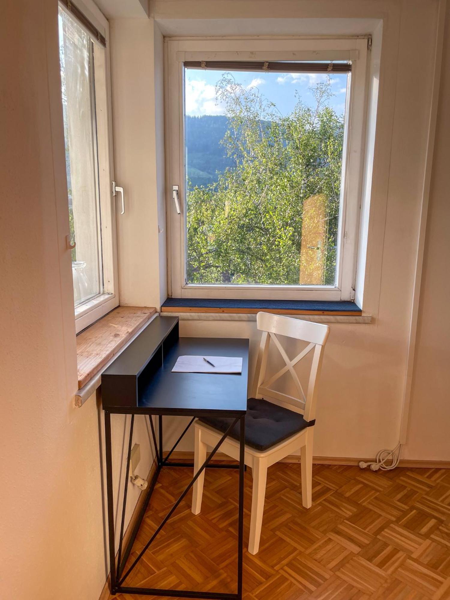 Melior City View Apartment Leoben  Buitenkant foto